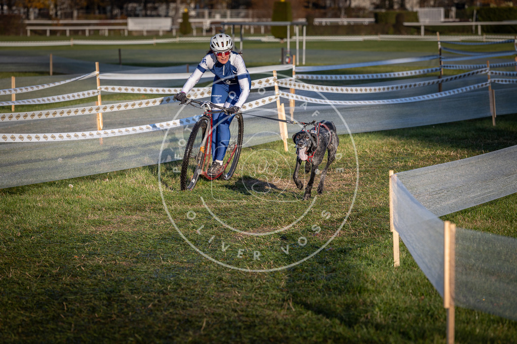 CaniXpix_0L8A3573 | Hundefotografie, Tierfotograf, Pfotenfotografie, Fotoshooting Hund, Hunde Portrait, Hundesport, Hundeportraits, Heideshooting, Hunde, Sportfotograf, Hundefotograf, Turnierhundsport, THS,  - Realisiert mit Pictrs.com