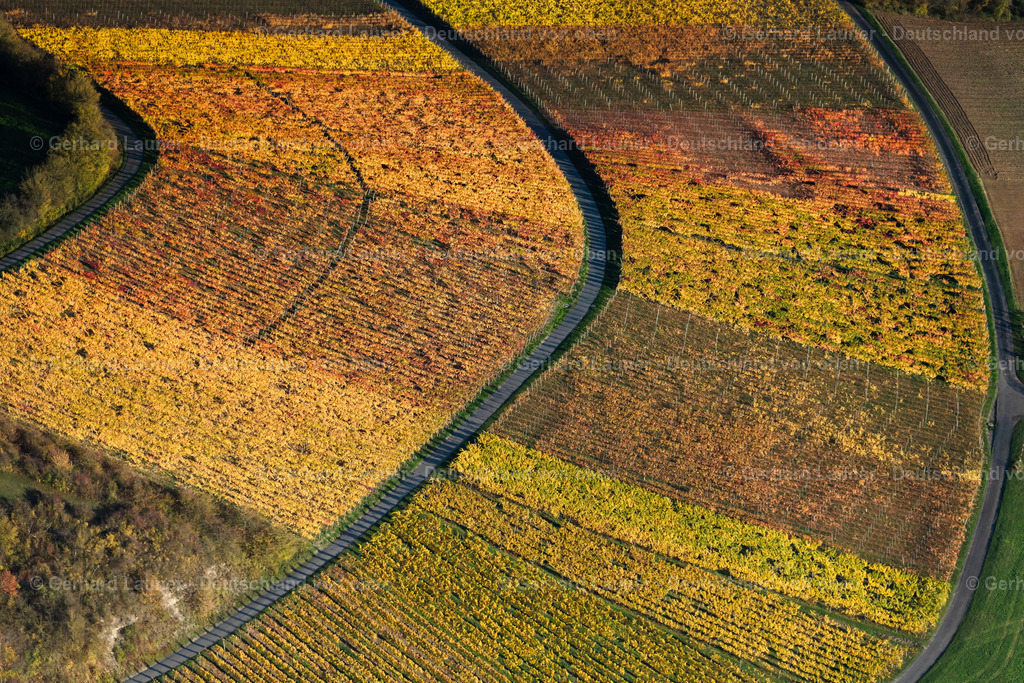4042806 | Weinberge bei Wiebelsberg, Weinlage Dachs