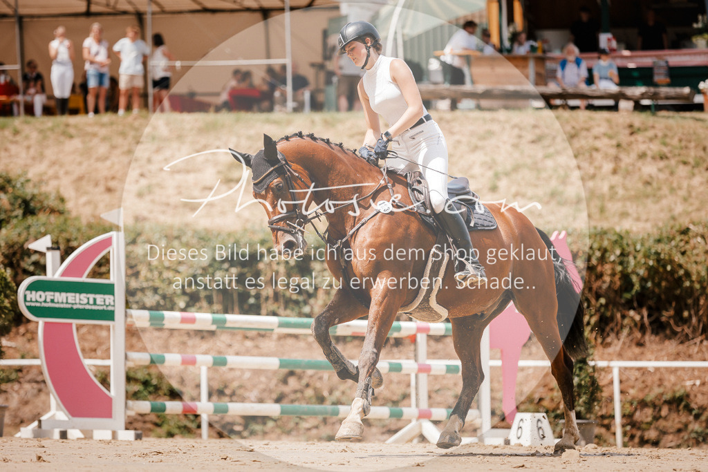 3I6A7840 | Stimmungsvolle Portraits und Reitsportfotografie im Ruhrgebiet und im Münsterland.

Pferdefotografie, Hundefotografie, Tierfotografie, Reportagen, Portraits von Tier und Mensch, Turnierfotografie in Bochum, Recklinghausen, Marl, Haltern am See, Dülmen.. - Realisiert mit Pictrs.com