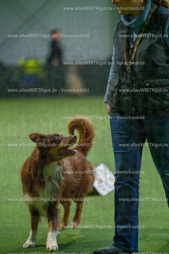 7R500913 | Professionelle Tierfotografie in Mönchengladbach von Daniel Wirth (allesWIRTHgut). Liebevolle & natürliche Bilder von Hunden & Katzen für unvergessliche Erinnerungen.