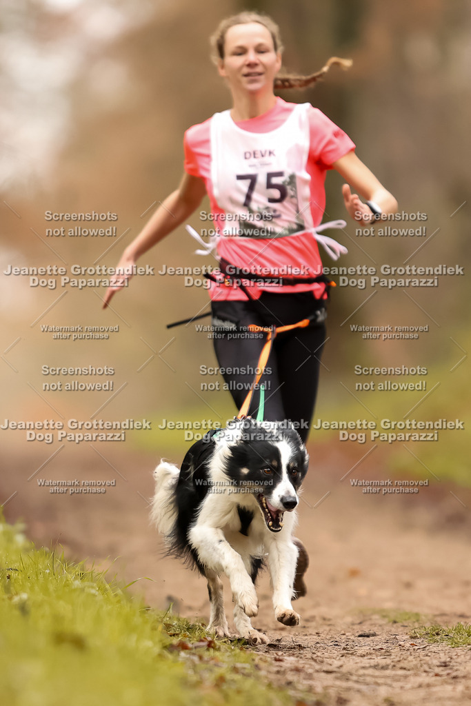 Dog Paparazzi - Speedhunter Mannheim  2025-217 | Dog Paparazzi Jeanette Grottendiek Fotografie & Videografie