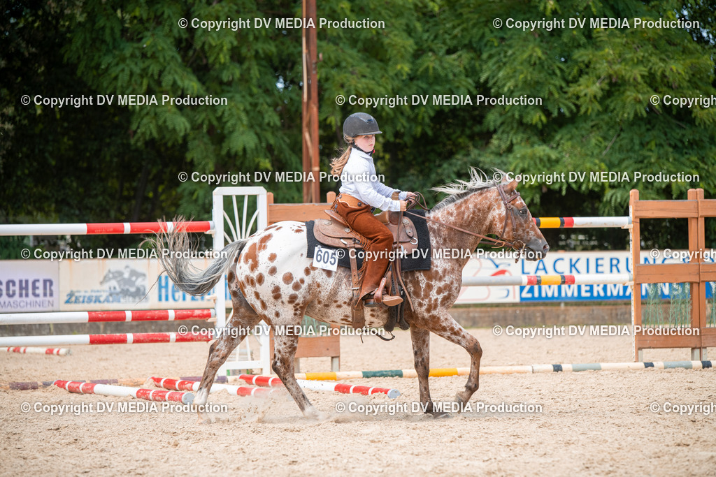 EWP_6634 | dv-media-shop - Realisiert mit Pictrs.com