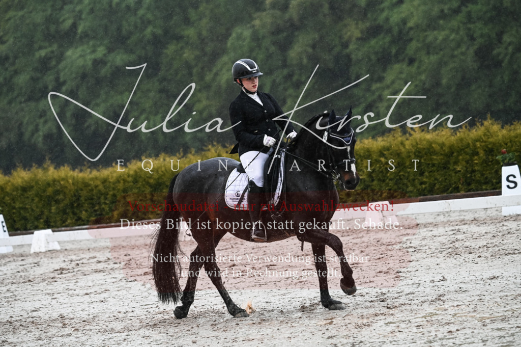 DSC_4676 | Pferde- und Turnierfotografie in Westsachsen. Pferdeportraits, Auftragszeichnungen und intuitive Kunst.