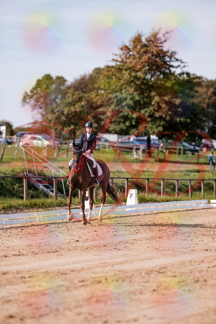 2026_10_03_Siefer-Hof_114926_Z81_89371079 | Professionelle Reitsport-, Turnier- und Eventfotografie von Robert Broda. Galerien mit ausgewählten und bearbeiteten Bildern direkt online ansehen und bestellen.