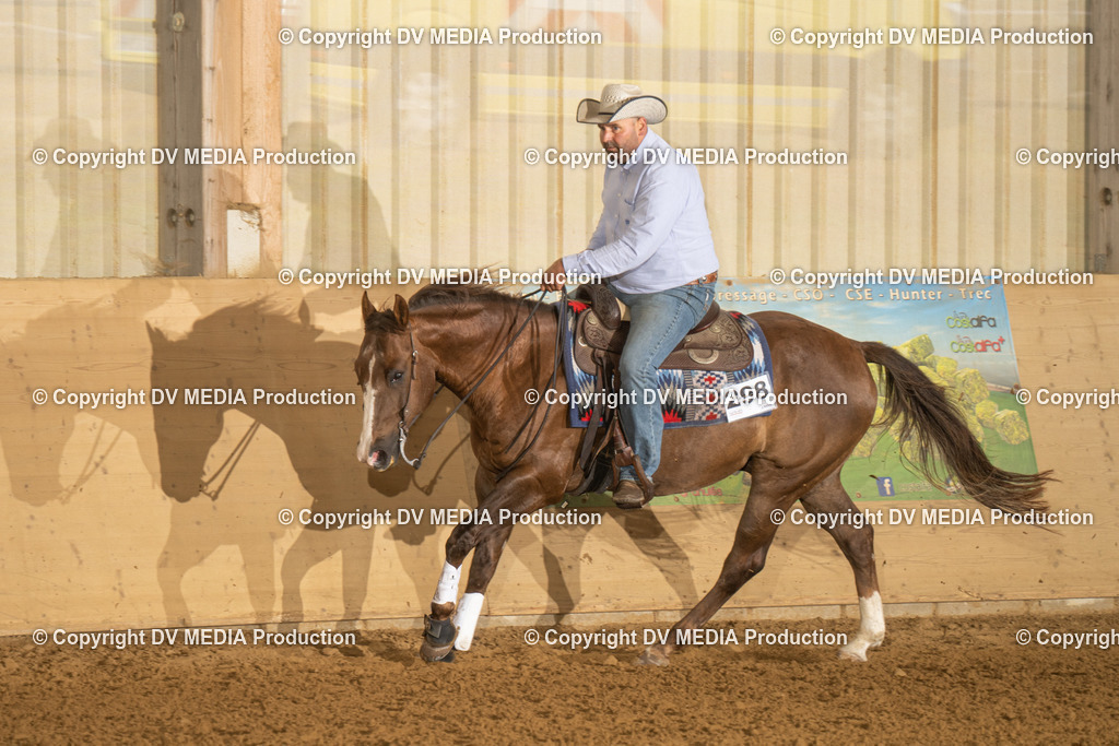 LAU00461 | dv-media-shop - Realisiert mit Pictrs.com