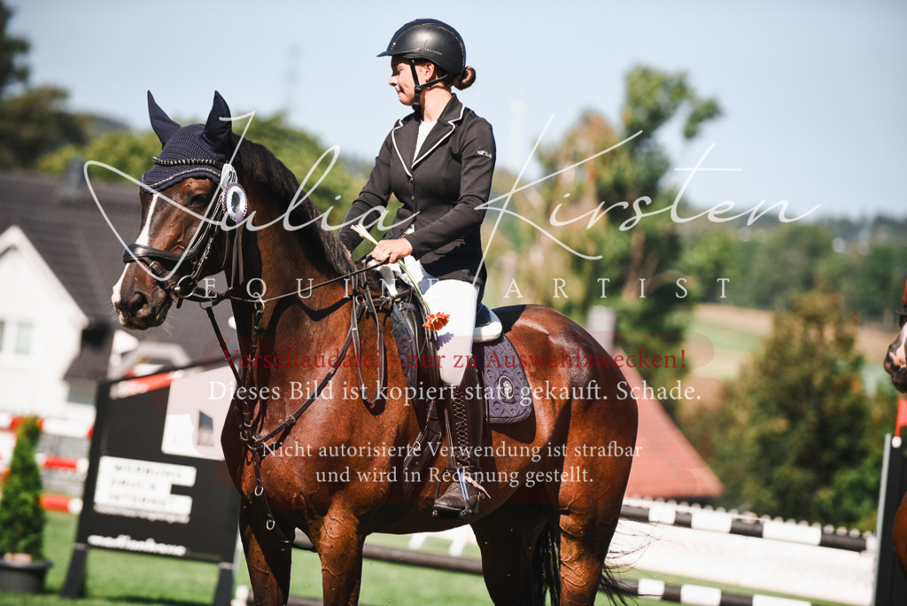 DSC_2639 | Pferde- und Turnierfotografie in Westsachsen. Pferdeportraits, Auftragszeichnungen und intuitive Kunst.