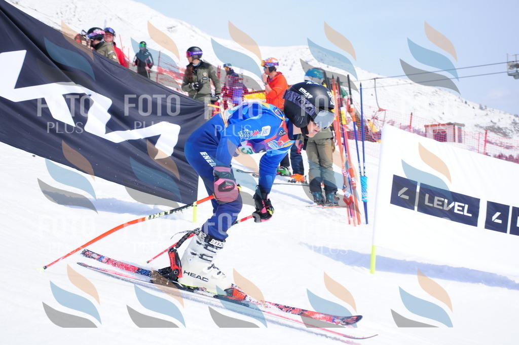 DSC_3012 | holidayphoto