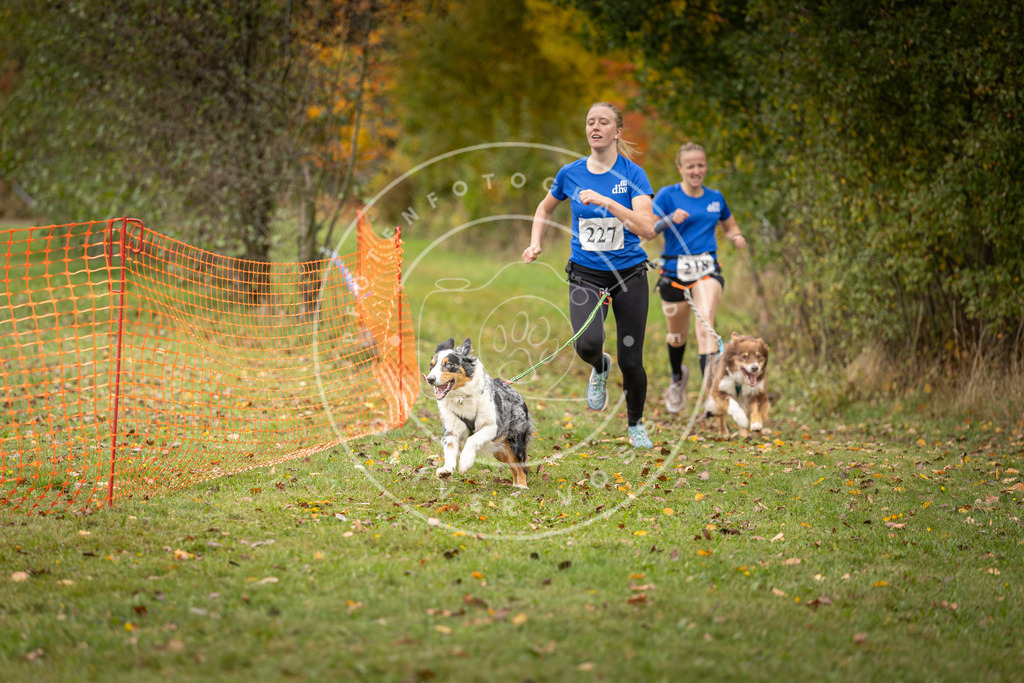 Pfotenfotografie_DV3A4671 | Hundefotografie, Tierfotograf, Pfotenfotografie, Fotoshooting Hund, Hunde Portrait, Hundesport, Hundeportraits, Heideshooting, Hunde, Sportfotograf, Hundefotograf, Turnierhundsport, THS,  - Realisiert mit Pictrs.com