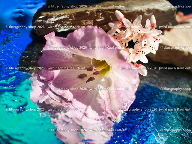 titusgraphy_P7314527-vz-ln | OLYMPUS DIGITAL CAMERA - Realisiert mit Pictrs.com