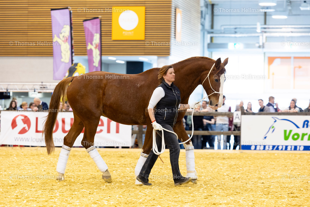 TH_Claudia Münch_26550 | EQUITANA 2025 am 07.03.25 in Essen