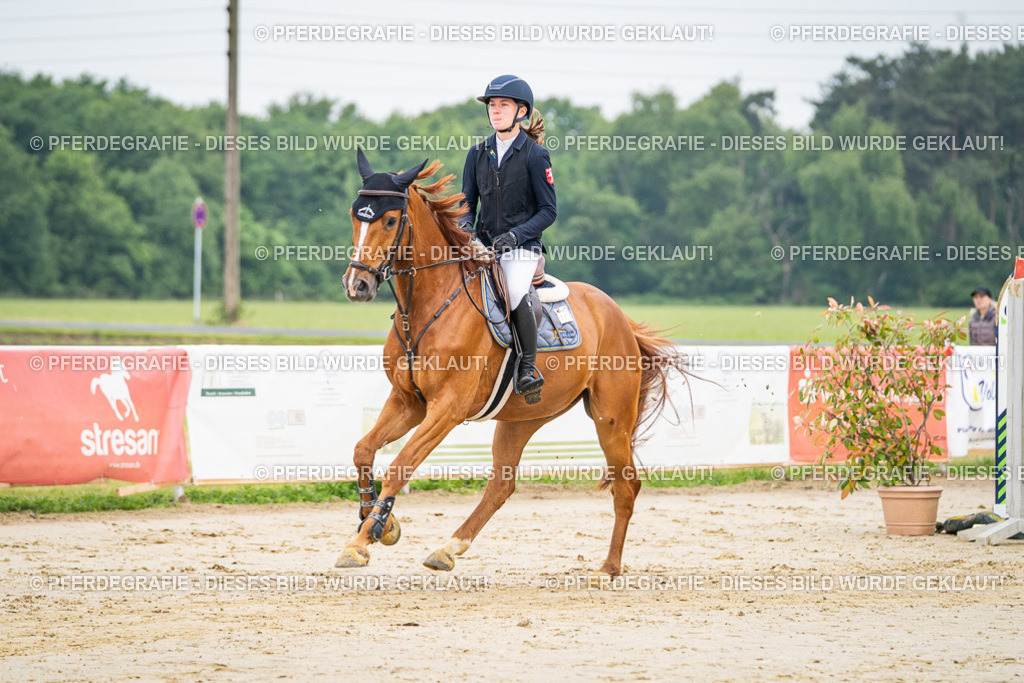 DSC09482 | Pferdegrafie