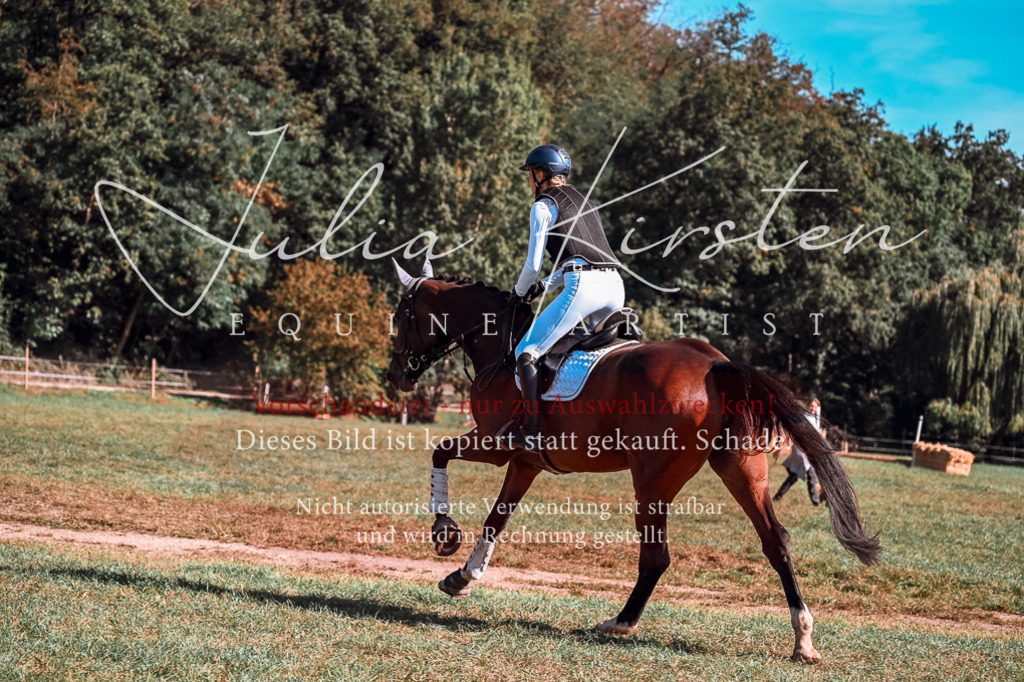 DSC_1086 | Pferde- und Turnierfotografie in Westsachsen. Pferdeportraits, Auftragszeichnungen und intuitive Kunst.