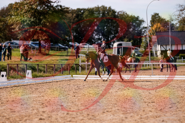 2026_10_03_Siefer-Hof_132718_Z81_81560297 | Professionelle Reitsport-, Turnier- und Eventfotografie von Robert Broda. Galerien mit ausgewählten und bearbeiteten Bildern direkt online ansehen und bestellen.