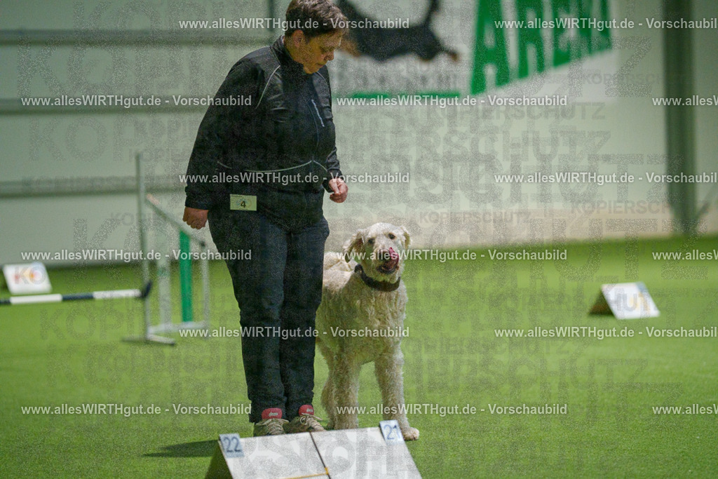 7R504317 | Professionelle Tierfotografie in Mönchengladbach von Daniel Wirth (allesWIRTHgut). Liebevolle & natürliche Bilder von Hunden & Katzen für unvergessliche Erinnerungen.