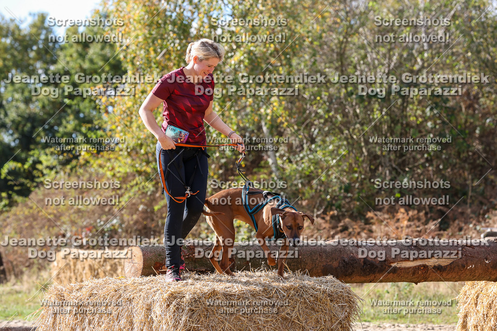 Dog Paparazzi - Strongdog 10-25-5798 | Dog Paparazzi Jeanette Grottendiek Fotografie & Videografie - Realisiert mit Pictrs.com