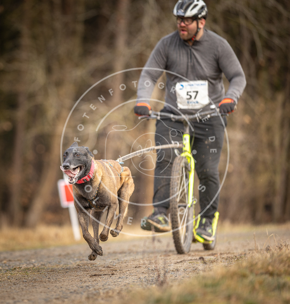 DV3A3488 | Hundefotografie, Tierfotograf, Pfotenfotografie, Fotoshooting Hund, Hunde Portrait, Hundesport, Hundeportraits, Heideshooting, Hunde, Sportfotograf, Hundefotograf, Turnierhundsport, THS,  - Realisiert mit Pictrs.com