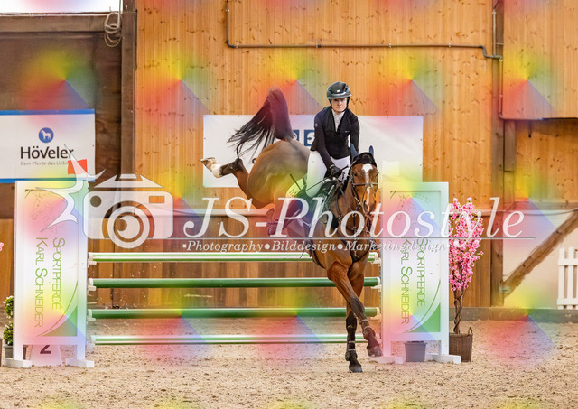 20260221_03_Springpferdeprfg KlL115-126 | JS-Photostyle - Sport-/Portrait- & Eventfotografie
