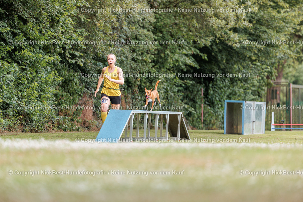 THS-Quakenbrück-2026-Nickbest-Hundefotografie-4599 | Dein Hund! Dein Moment! Deine Erinnerungen! Hundefotografie in Bremen Blumenthal. Ich fange die besonderen Momente deines Vierbeiners ein – ob Indoor mit Blitzanlage oder in der freien Natur. Sicher dir dein Moment und dein Termin für eure Erinnerungen.