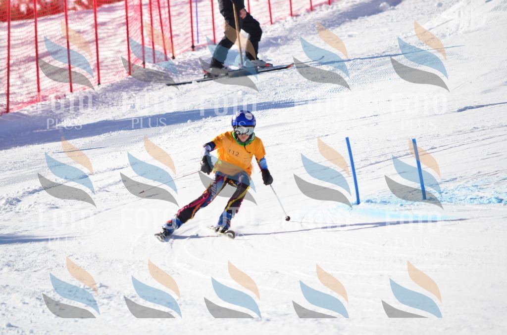 C6288 | holidayphoto