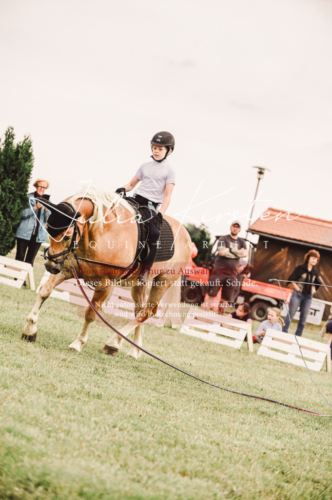 DSC_5249 | Pferde- und Turnierfotografie in Westsachsen. Pferdeportraits, Auftragszeichnungen und intuitive Kunst.