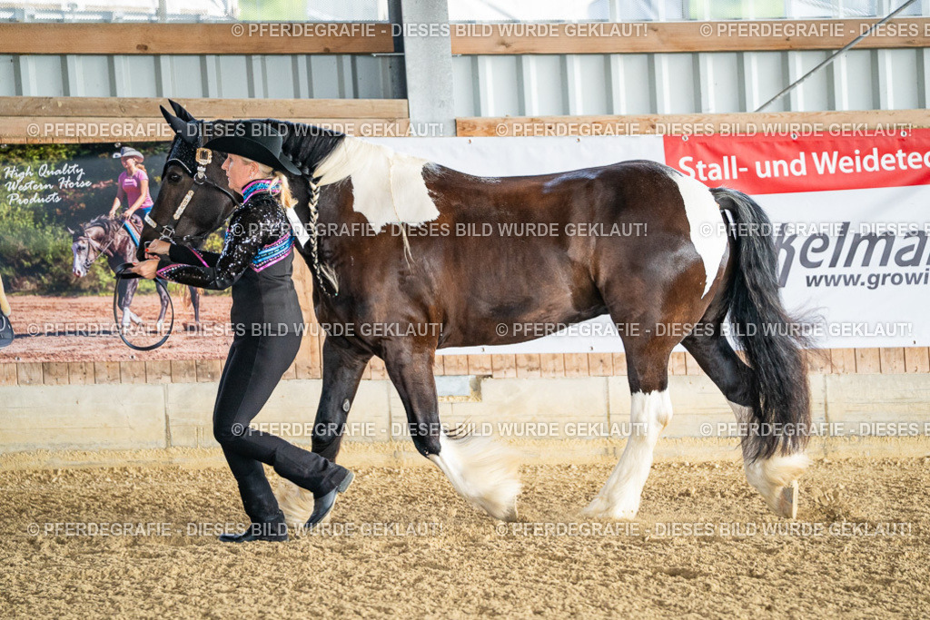 DSC07508 | Pferdegrafie