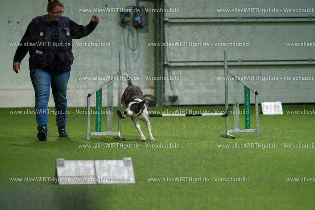 7R504755 | Professionelle Tierfotografie in Mönchengladbach von Daniel Wirth (allesWIRTHgut). Liebevolle & natürliche Bilder von Hunden & Katzen für unvergessliche Erinnerungen.