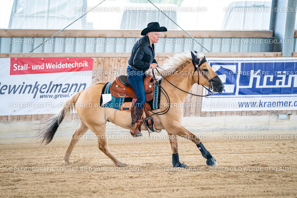 DSC05734 | Pferdegrafie