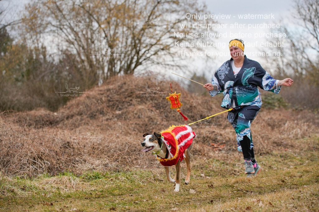 Fasching-63 | stephaniefillaphotographie - Realisiert mit Pictrs.com