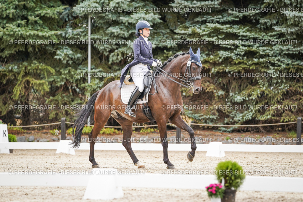 DSC07607 | Pferdegrafie