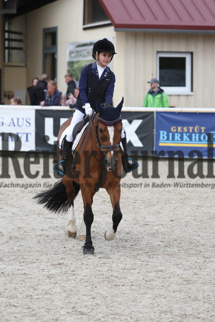 Birkhof_2023_Reiter-WB_Trab-Galopp_Gruppe_05 (48) | Alle Fotos der Reiterjournal Fotografin Doris Matthaes im Reiterjournal Online-Fotoshop. - Realisiert mit Pictrs.com