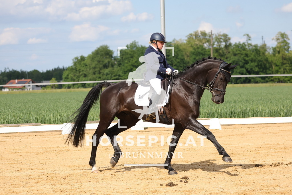 0P6A9090 | Willkommen bei Brunnmayr - Design & Fotografie – Ihrem Spezialisten für Reitturniere und Pferdeveranstaltungen in Oberösterreich, Salzburg und Bayern! Seit über 17 Jahren sind wir leidenschaftlich dabei.