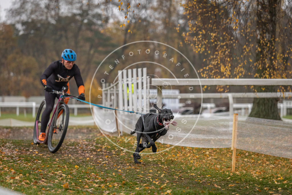 CaniXpix_DV3A7356 | Hundefotografie, Tierfotograf, Pfotenfotografie, Fotoshooting Hund, Hunde Portrait, Hundesport, Hundeportraits, Heideshooting, Hunde, Sportfotograf, Hundefotograf, Turnierhundsport, THS,  - Realisiert mit Pictrs.com