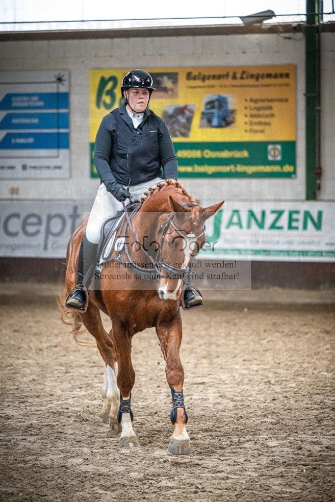 DOS_0737 | Entdecke hochwertige Reitturnierfotos von Foto Oger. Professionell, emotional und authentisch – jetzt Lieblingsmomente im Shop bestellen.Deutschlandweite Turnierfotografie. - Realisiert mit Pictrs.com