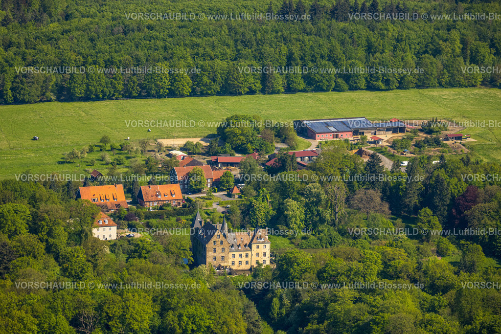 Arnsberg230500176 | Luftbild, Schloss Höllinghofen, Wasserschloss, Parkpferde Höllinghofen, Voßwinkel, Arnsberg, Sauerland, Nordrhein-Westfalen, Deutschland