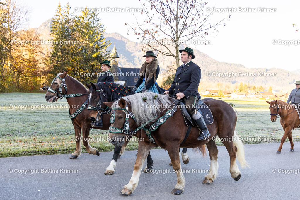 LL24-131 | foto-bettina-krinner - Realisiert mit Pictrs.com