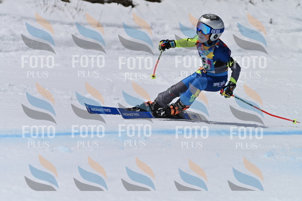 BGV_6150 | holidayphoto