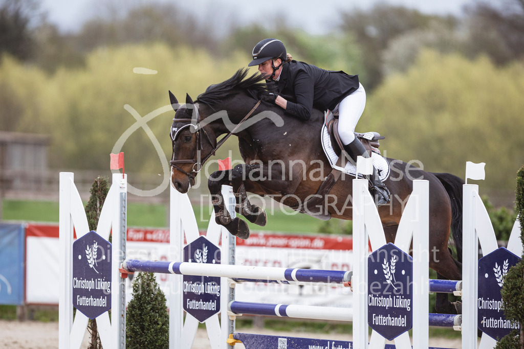 250417_Springpferde-L2-347 | Deine schönsten Turniermomente als professionelle Fotos! Entdecke hochwertige Pferdesport-Fotografie im Online-Shop. Jetzt Fotos finden & bestellen!