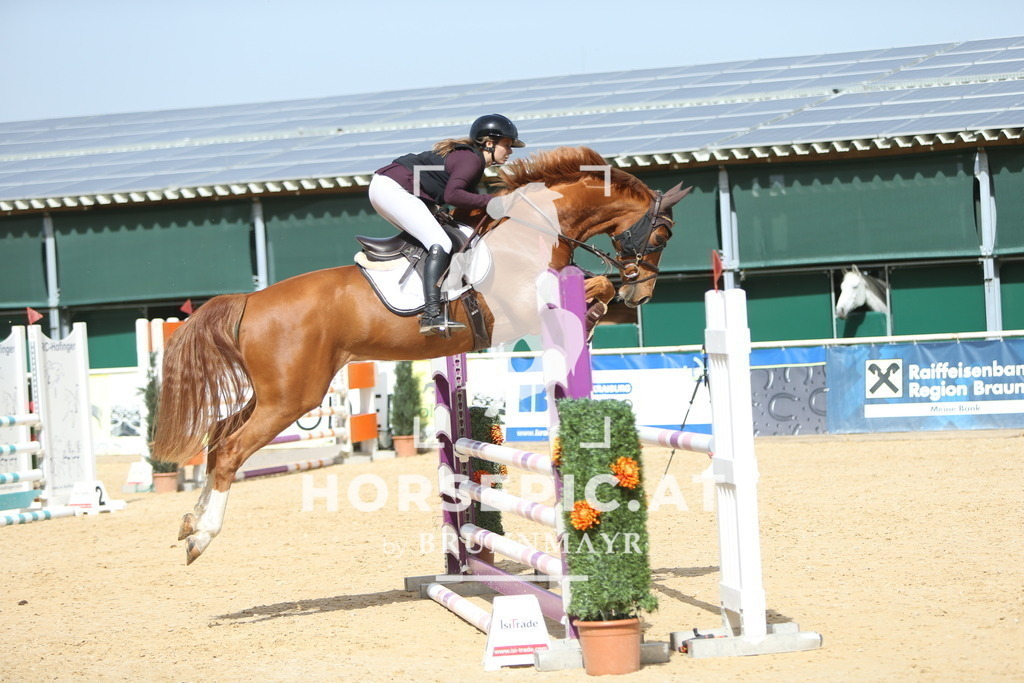 DL2Q3527 | Willkommen bei Brunnmayr - Design & Fotografie – Ihrem Spezialisten für Reitturniere und Pferdeveranstaltungen in Oberösterreich, Salzburg und Bayern! Seit über 17 Jahren sind wir leidenschaftlich dabei.
