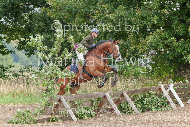 Jagd Perdoel_MarinaHewigMCH04238 | Fotografie, FotoArt, PferdesportArt, Pferdesportfotografie, Landschaftsfotografie, Reisefotografie, Reise, Pferde - Realisiert mit Pictrs.com