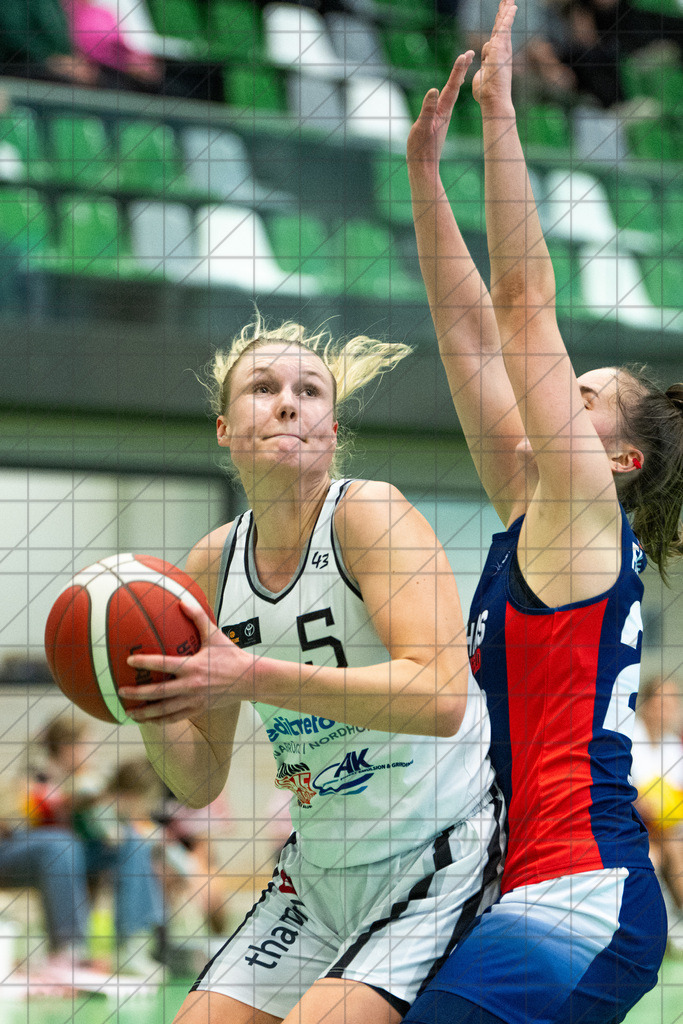 2. DBBL Nord 24/25 | 27.10.2024 | BBC OS vs. TSVE Bielefeld  | 2. DBBL Nord 24/25 | 27.10.2024 | BBC OS vs. TSVE Bielefeld - - - - - CREDIT, www.bullenfotos.de, Martin König, Hörner Weg 40, D-49078 Osnabrück, +4917663732967, Nutzung und Weitergabe nur zu den vereinbarten Zwecken. Presseanfragen an Urheber. Alle Rechte beim Urheber. - - - - - - Realisiert mit Pictrs.com