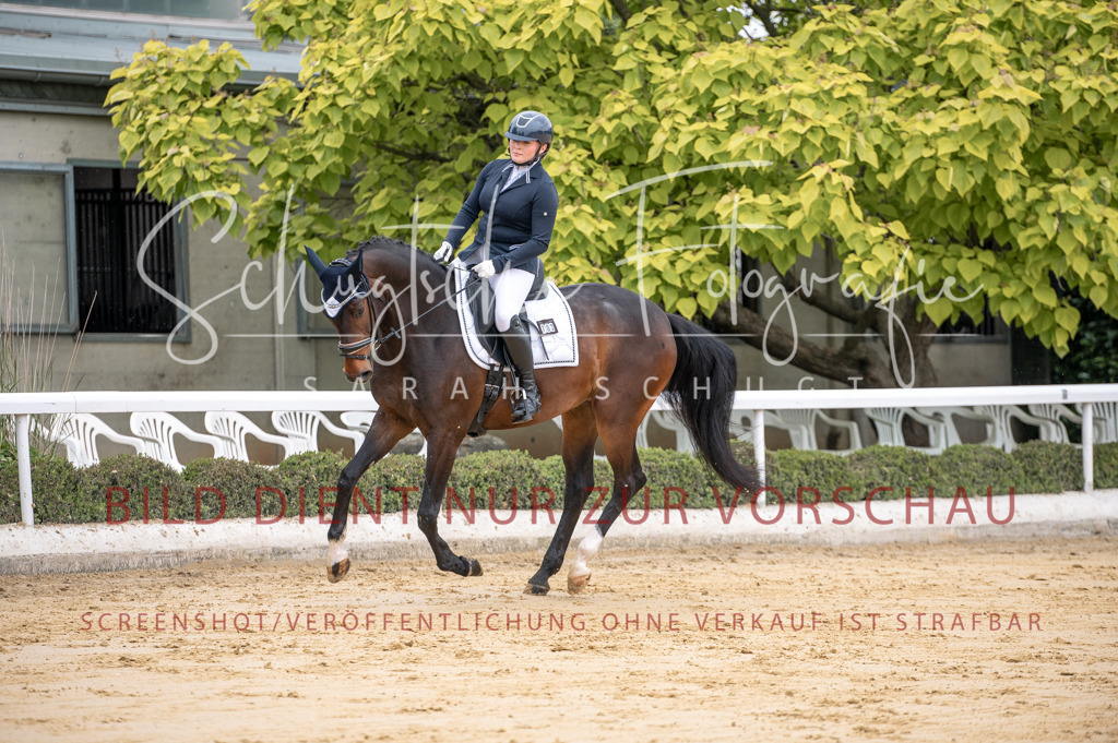 Schugtsche-Aluta25-41.Amat-Dressurprf.A_-75 | Schugtsche Fotografie - Realisiert mit Pictrs.com