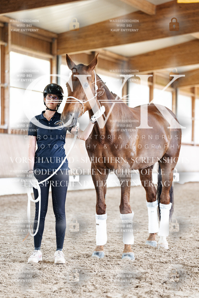 CK908293 | Turnierfotografie Pferdefotografie Trier Rheinland-Pfalz Pferdesport Reitsport Tierfotografie Sportfotografie Pferdevideo Pferdevideografie Equestrianvideography equestrianphotography  - Realisiert mit Pictrs.com