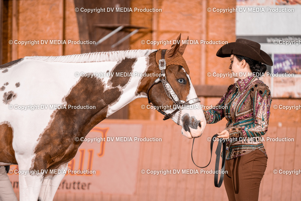 NE200042 | dv-media-shop - Realisiert mit Pictrs.com