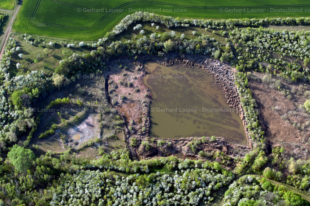 4026086 | ERFURT 06.05.2020 Uferbereiche der Teichanlagen zur Fischzucht im Ortsteil Hohenwinden in Erfurt im Bundesland Thüringen, Deutschland. // Shore areas of the ponds for fish farming in the district Hohenwinden in Erfurt in the state Thuringia, Germany. Foto: Gerhard Launer