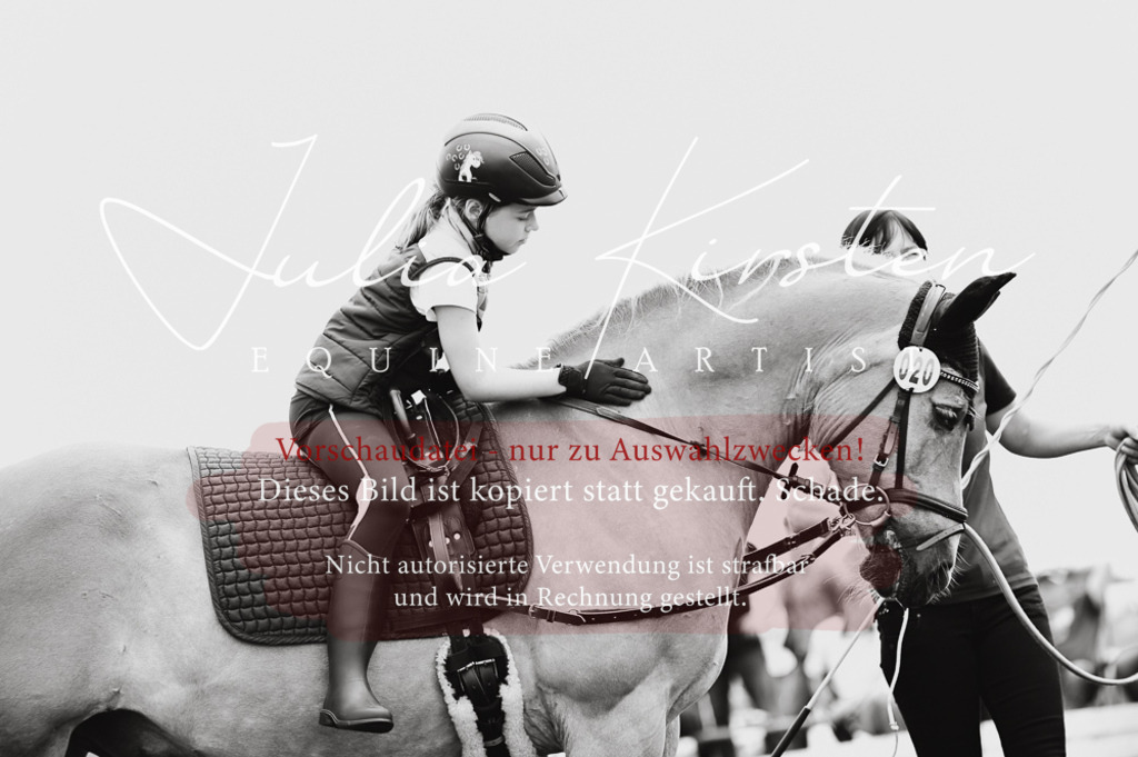DSC_5346 | Pferde- und Turnierfotografie in Westsachsen. Pferdeportraits, Auftragszeichnungen und intuitive Kunst.