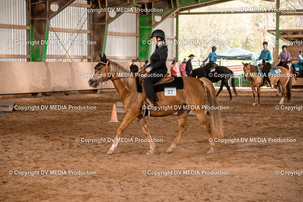 BAL02292 | dv-media-shop - Realisiert mit Pictrs.com