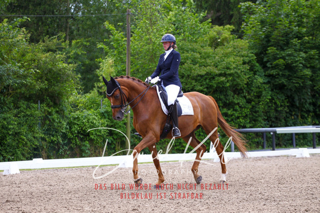 DKP41223 | Turnierfotos kaufen im Webshop von Daniel Kuhl Photography – entdecke professionelle Reitsportfotos aus Turnieren & Events. Hochwertige Turnierbilder online bestellen & sichern. Jetzt Fotos von Reitsportturnieren kaufen!