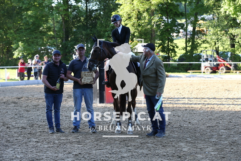 DL2Q3180 | Willkommen bei Brunnmayr - Design & Fotografie – Ihrem Spezialisten für Reitturniere und Pferdeveranstaltungen in Oberösterreich, Salzburg und Bayern! Seit über 17 Jahren sind wir leidenschaftlich dabei.