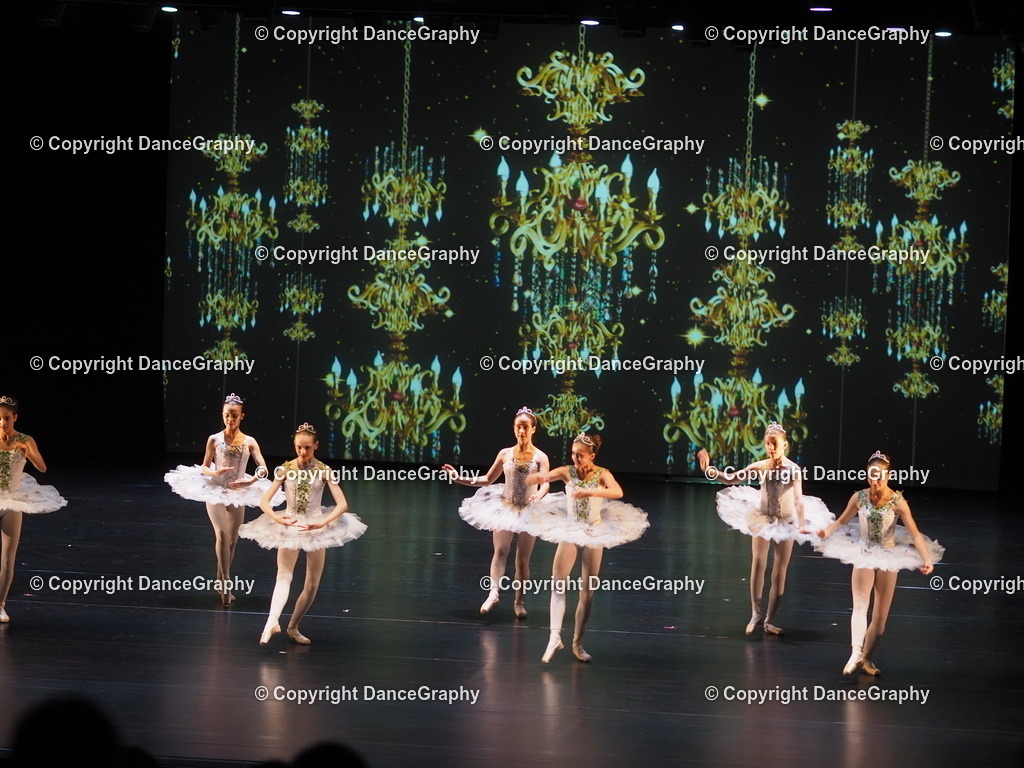 P7260442 | DanceGraphy - Realisiert mit Pictrs.com