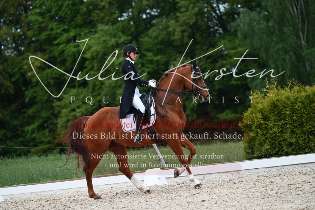 20230513_JK-Röhrsdorf-13-683 | Pferde- und Turnierfotografie in Westsachsen. Pferdeportraits, Auftragszeichnungen und intuitive Kunst.